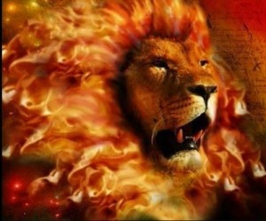 Lion flames roar